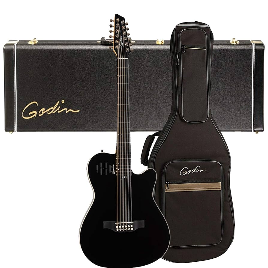 Amazon.com: Godin A12 12-String – Black HG (048588), Godin